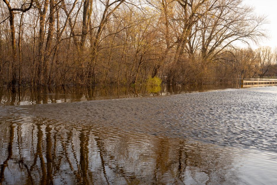 Why Is My Stormwater Drain Overflowing When It Rains? — Photo by Tom Fisk on Pexels
